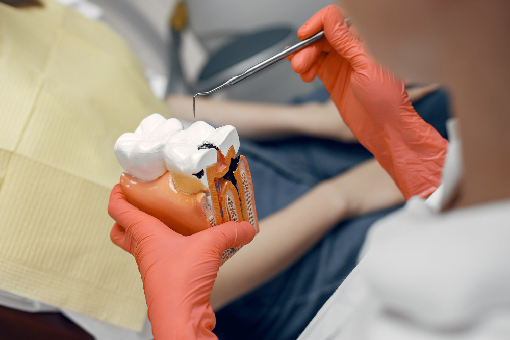How Long Does a Root Canal Really Take? A Clear Guide for Patients